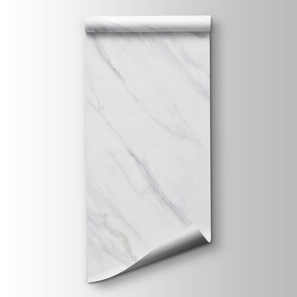 White marble surface with black veins White marble surface with black veins