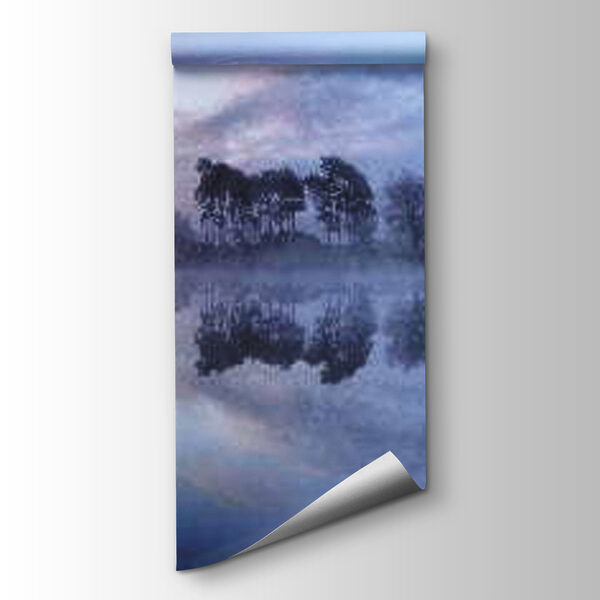 Foggy lake with trees and a blue sky Foggy lake with trees and a blue sky