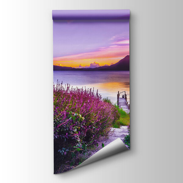 Path leading to a lake with purple flowers