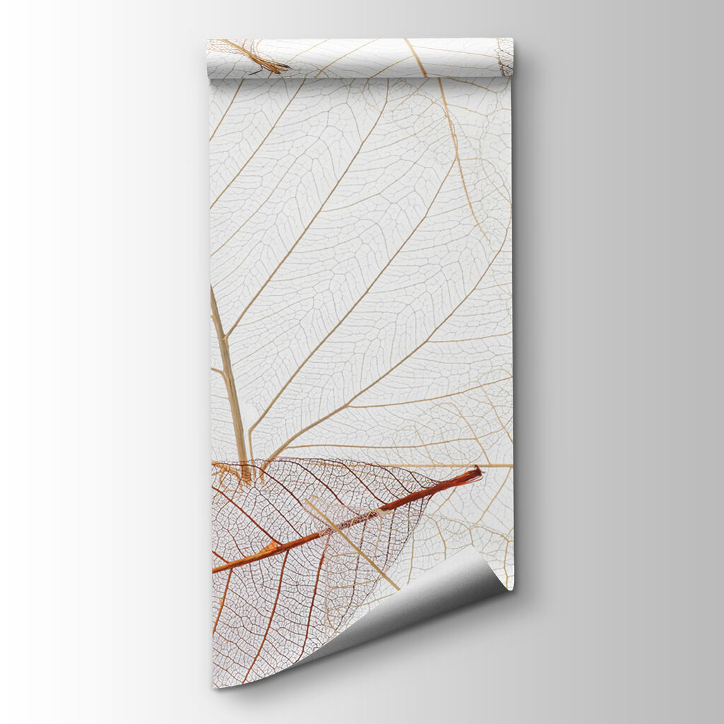 Group of brown leaves Group of brown leaves