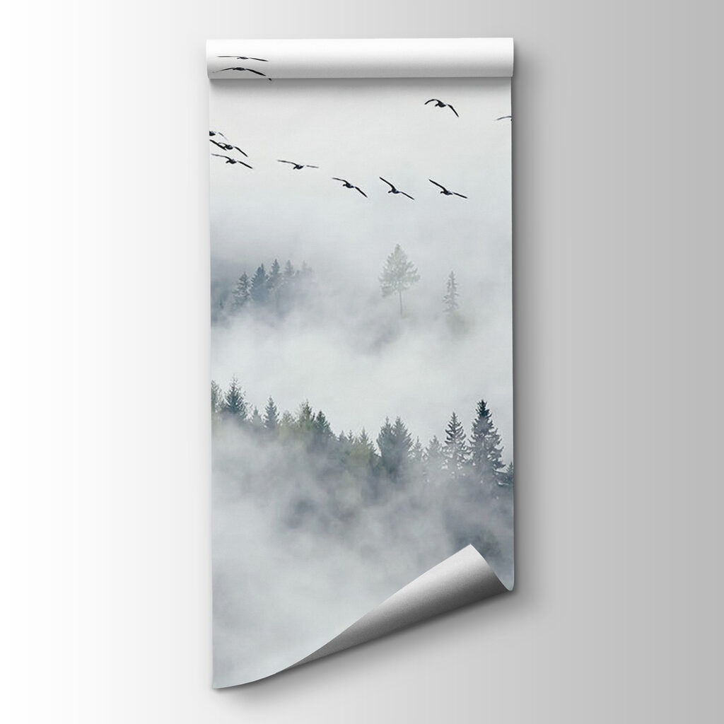 Birds flying in the sky Birds flying in the sky