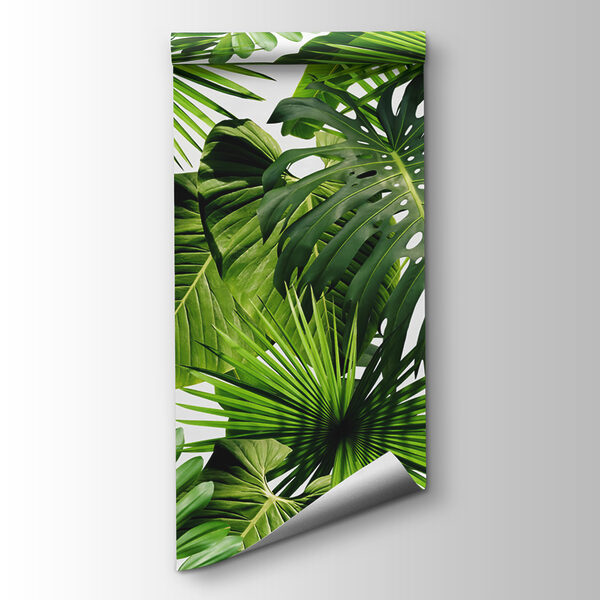 Group of green leaves Group of green leaves