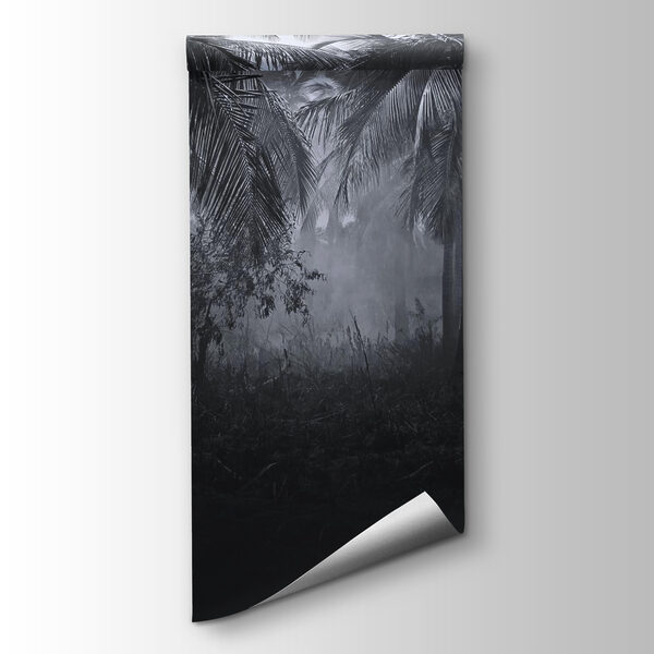 Foggy forest with palm trees