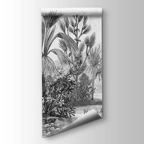 Black and white drawing of a tropical forest