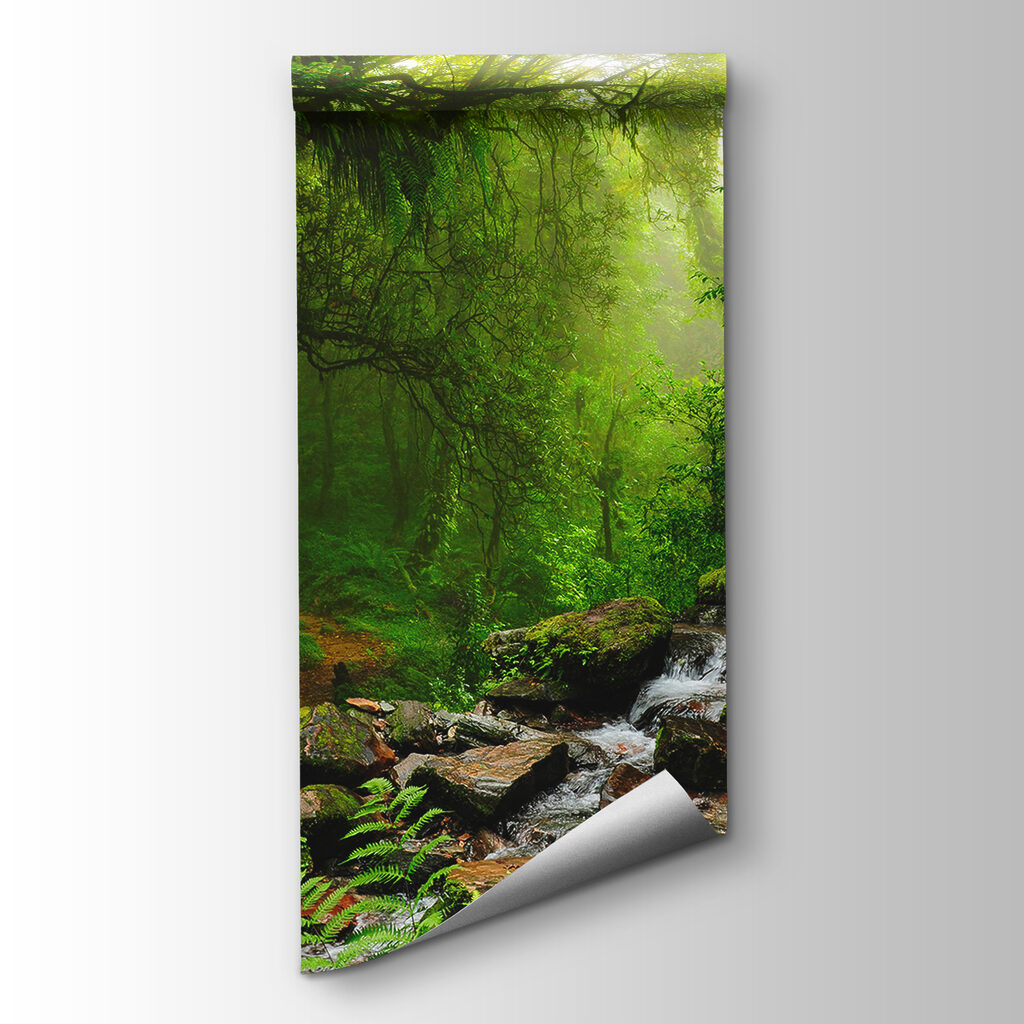 Stream running through a forest Stream running through a forest