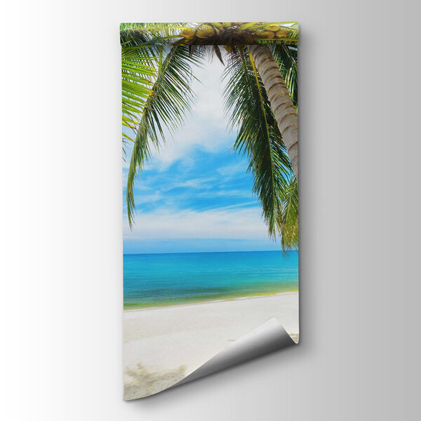 Palm trees on a beach