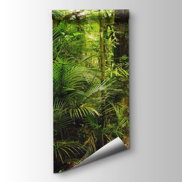 Path through a forest