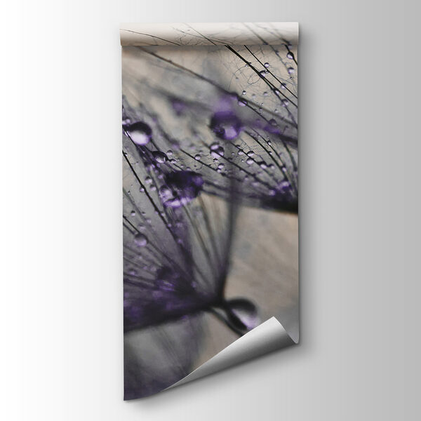 Delicate droplets on fragile petals Delicate droplets on fragile petals