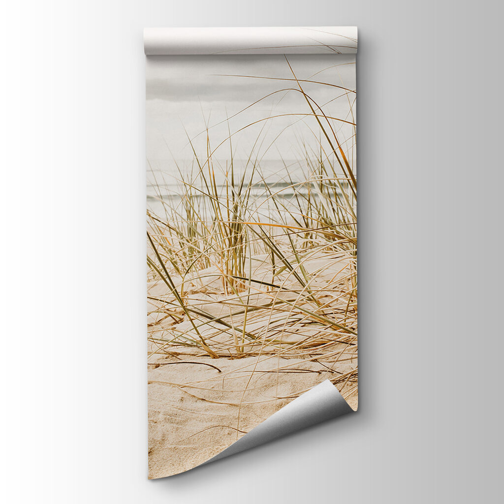 Gentle waves meet coastal grasses Gentle waves meet coastal grasses