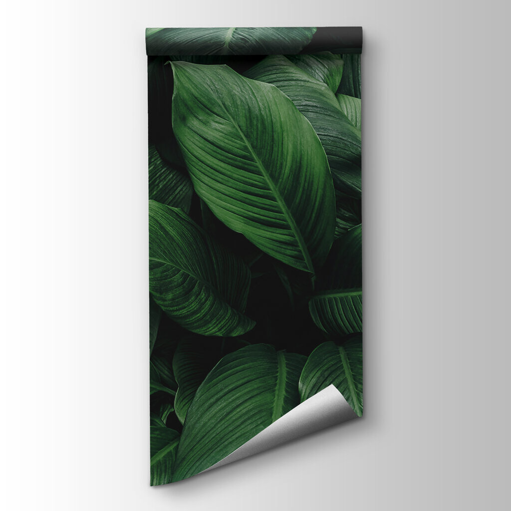 Large green leaves Large green leaves