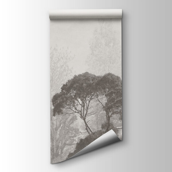 Group of trees in fog Group of trees in fog