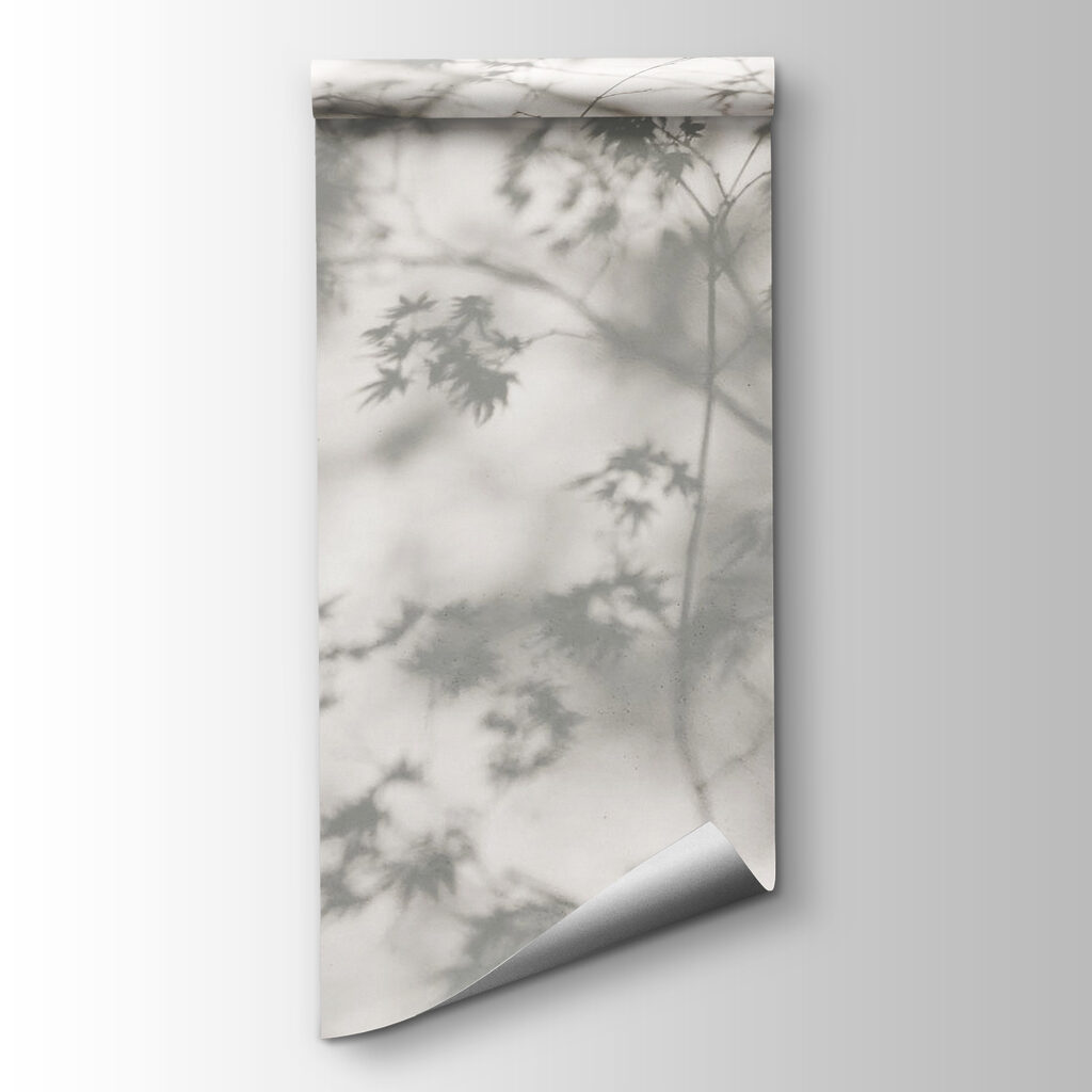 Shadows leaves on a wall