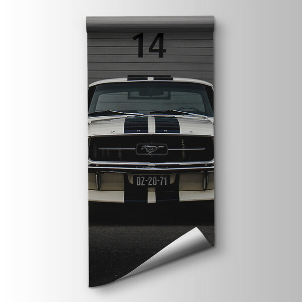 Car parked in front of a garage door Car parked in front of a garage door