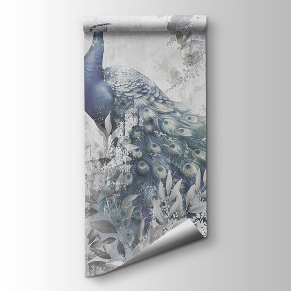 Peacock with feathers on a white background