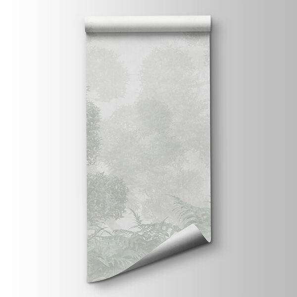 A foggy forest with trees and ferns A foggy forest with trees and ferns