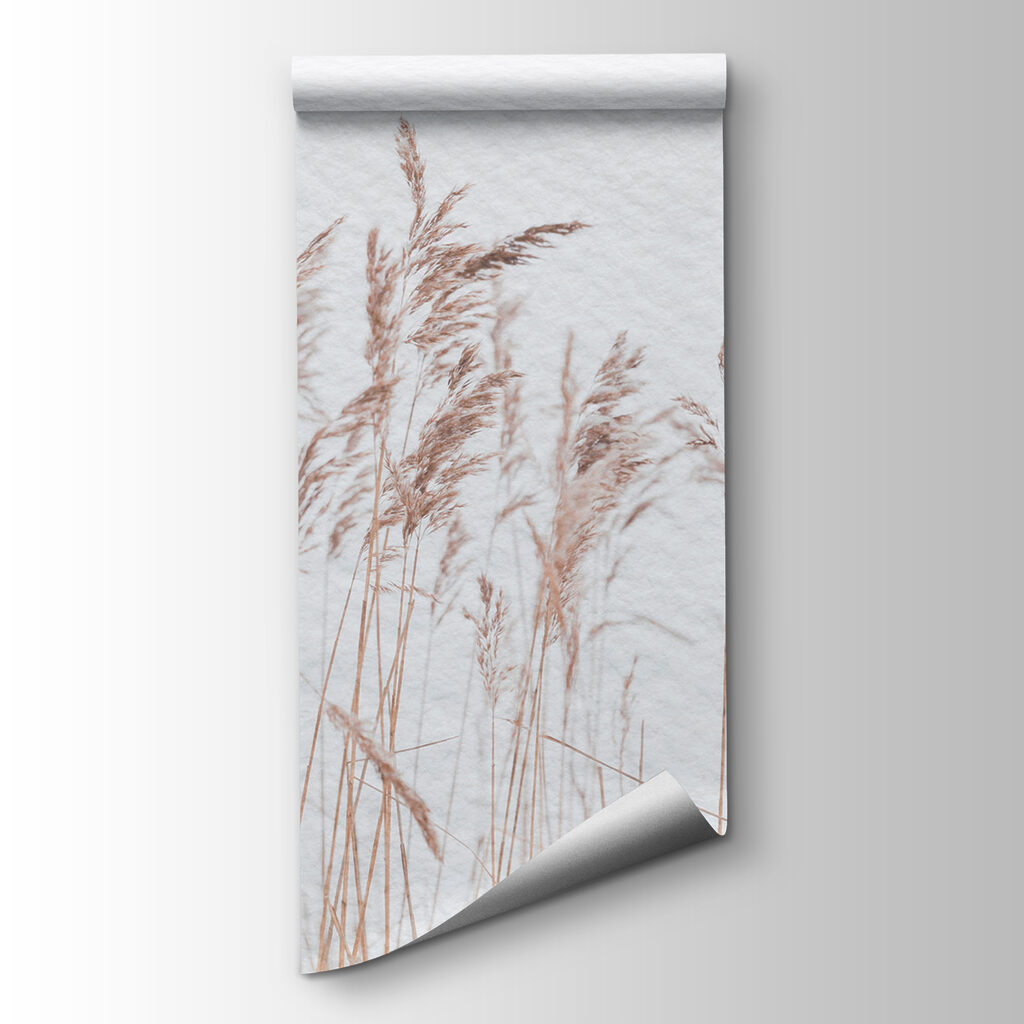 Delicate grasses against a soft backdrop