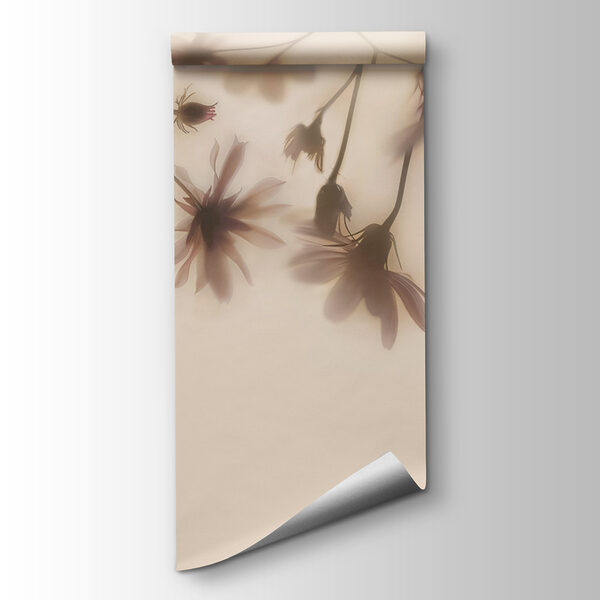 Group of flowers on a white background