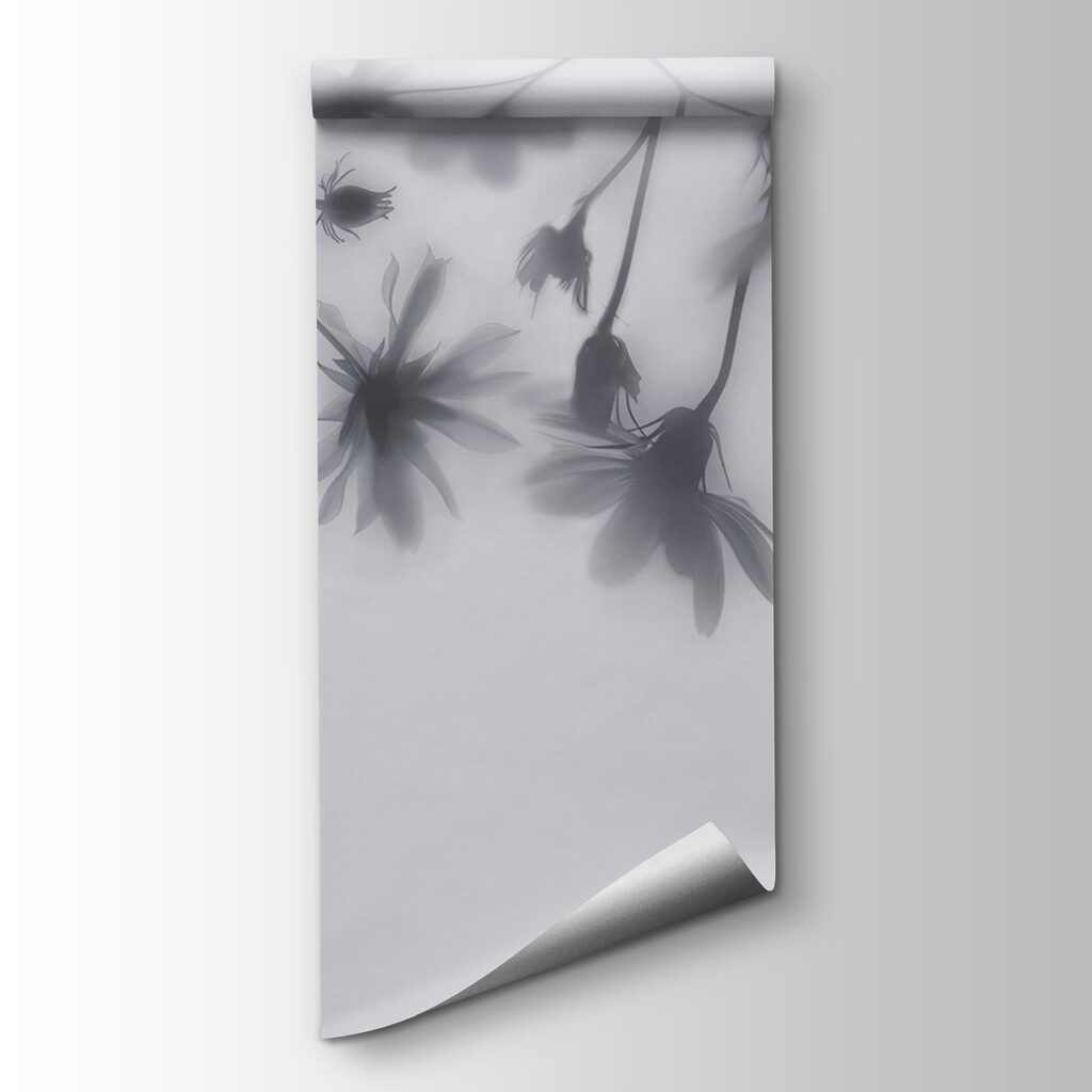Group of flowers on a white background