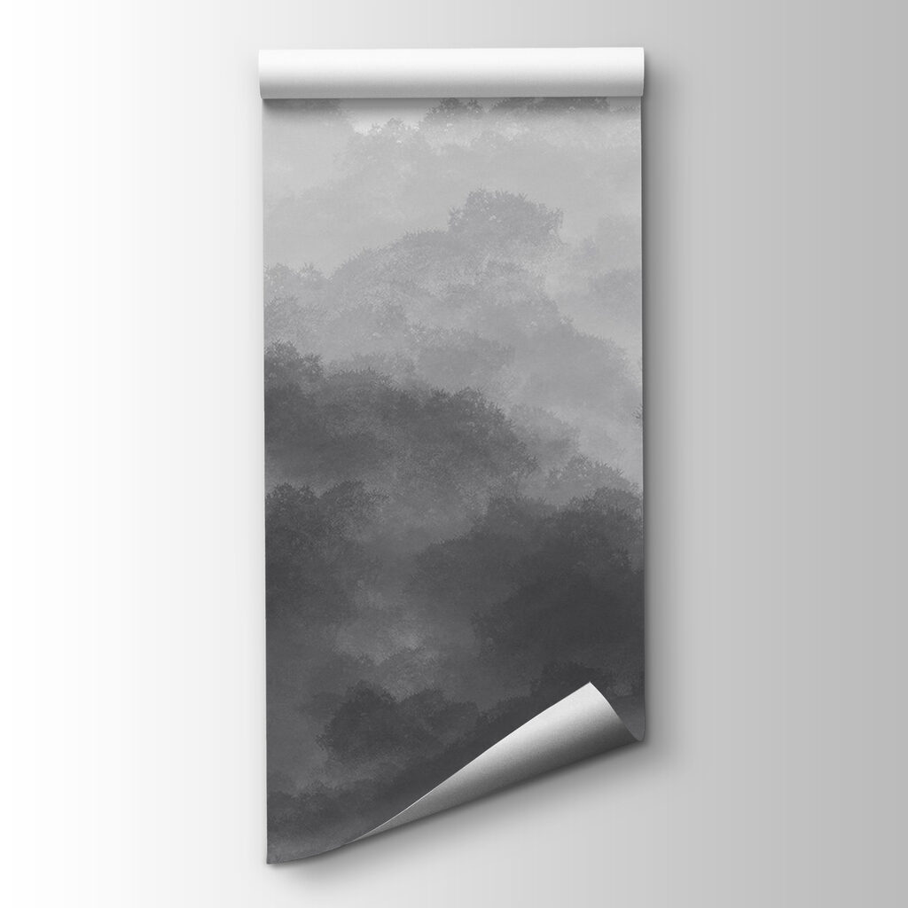 Black and white image of clouds Black and white image of clouds