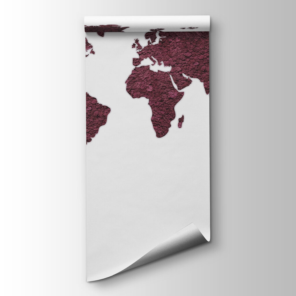 Map of the world Map of the world