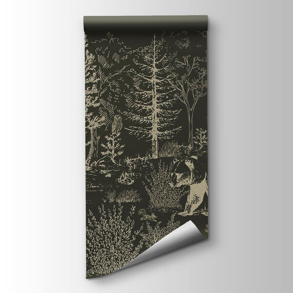 Bear walking in the woods