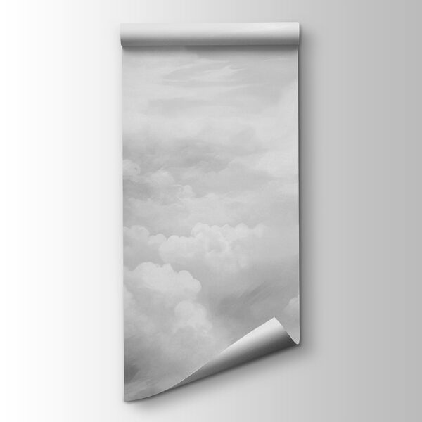 Greyscale shot of clouds