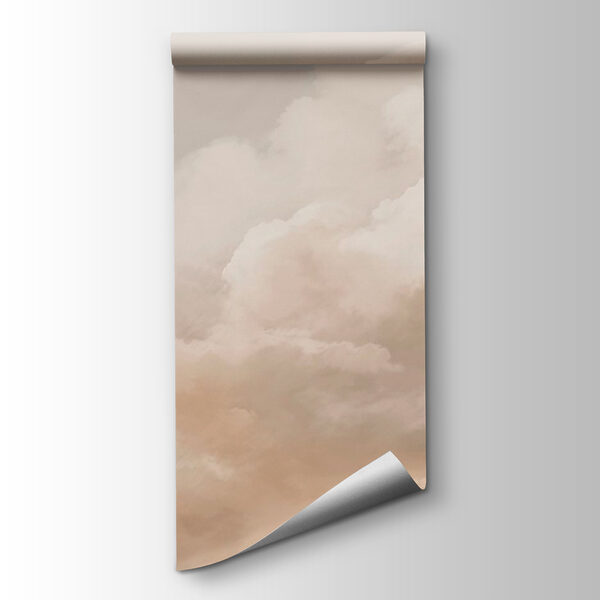 Cloudy sky with a person in the background