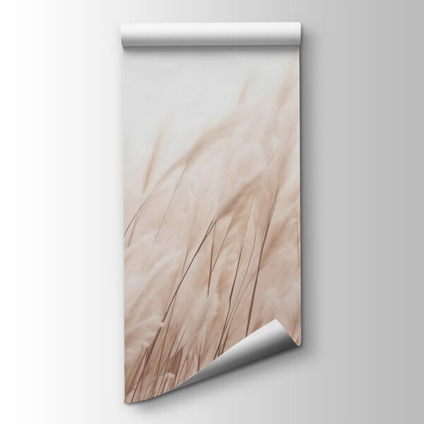 Soft grasses in gentle sunlight