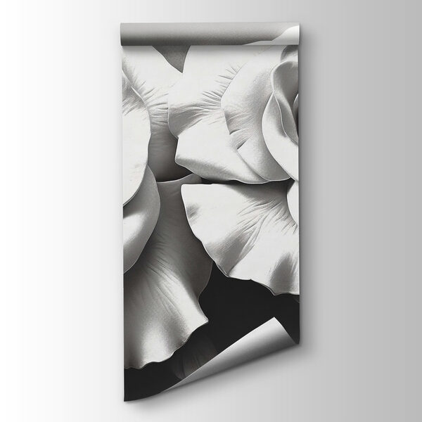 Delicate petals of timeless beauty Delicate petals of timeless beauty