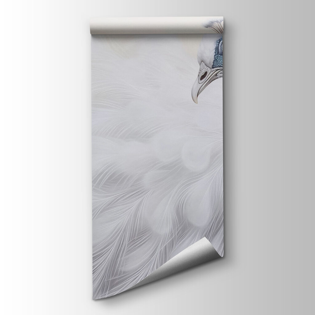 White peacock with blue eyes