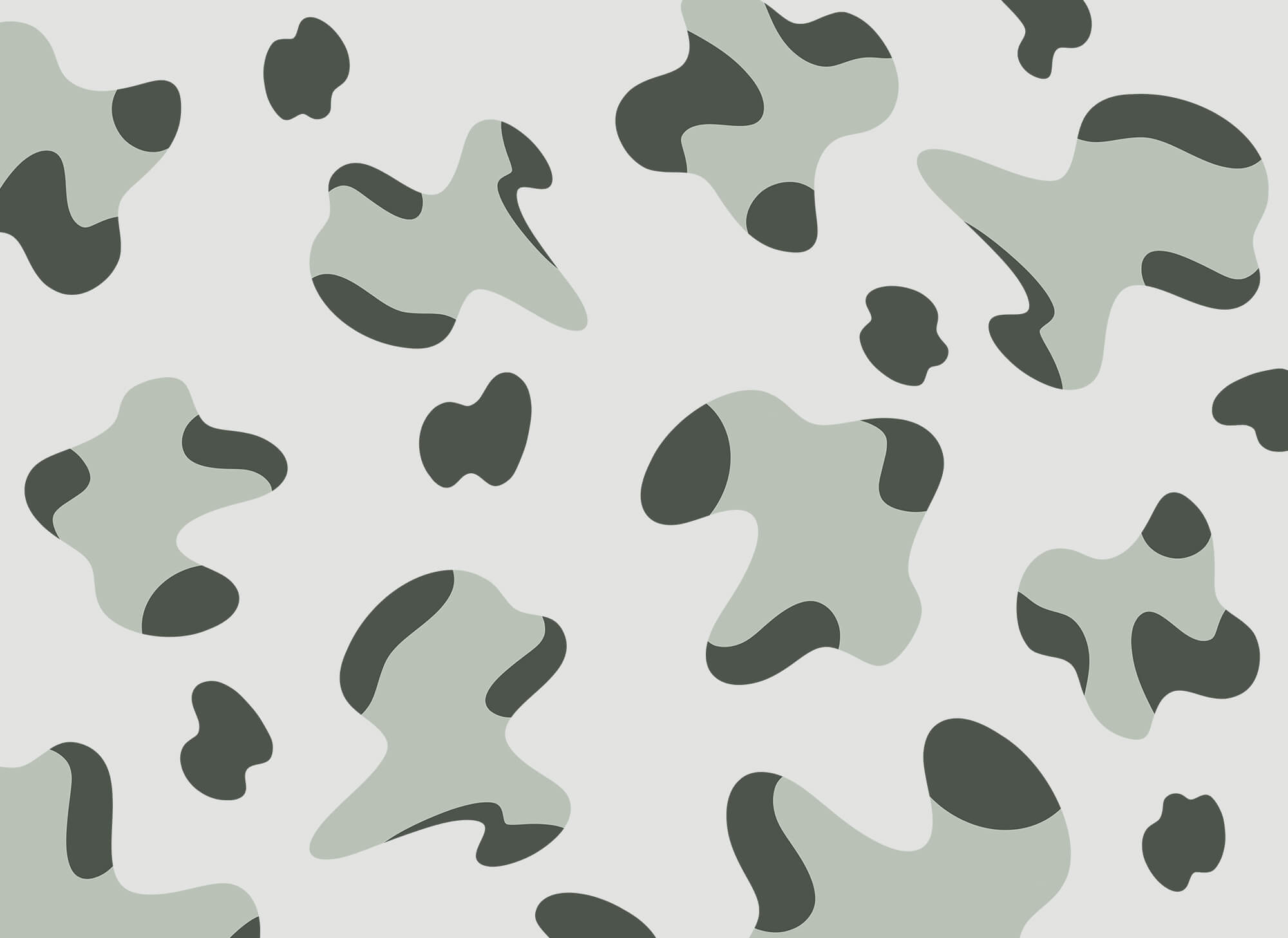 Pattern of black and white spots