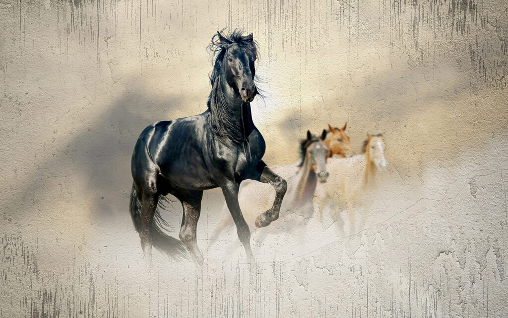 Black horse running in the wind