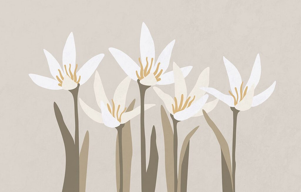 Group of white flowers Group of white flowers