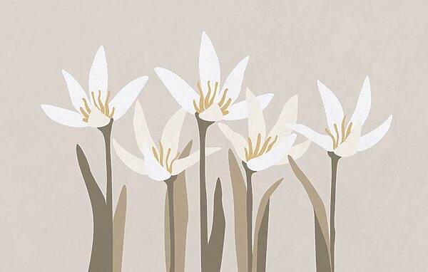 Group of white flowers Group of white flowers