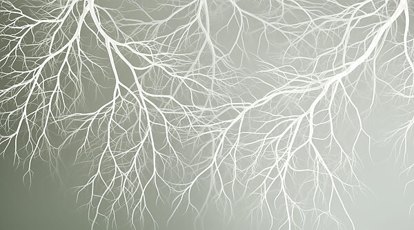 White branches on a gray background White branches on a gray background