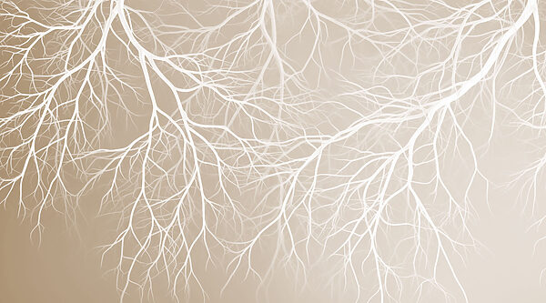 White branches on a beige background White branches on a beige background
