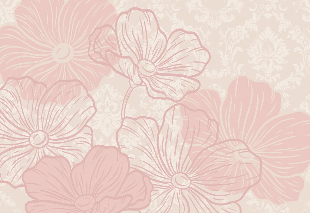 Pink flowers on a white background Pink flowers on a white background