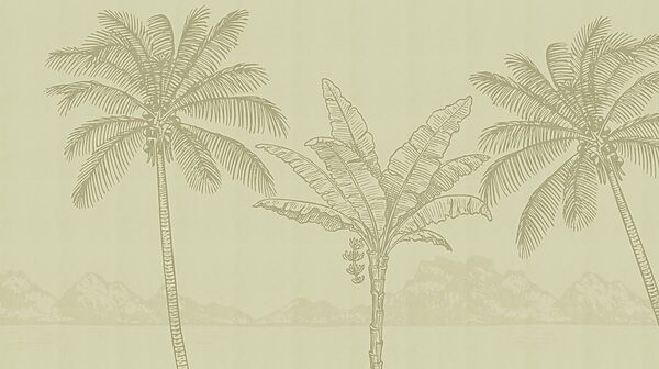 Palm trees and a beach Palm trees and a beach
