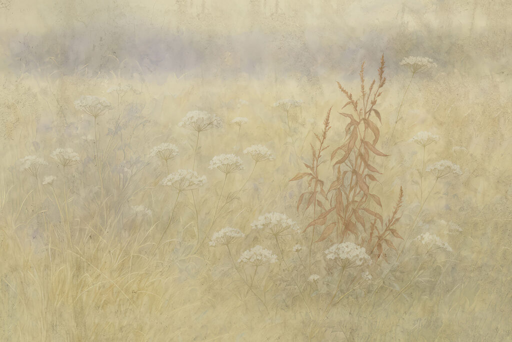 Field of flowers and grass Field of flowers and grass
