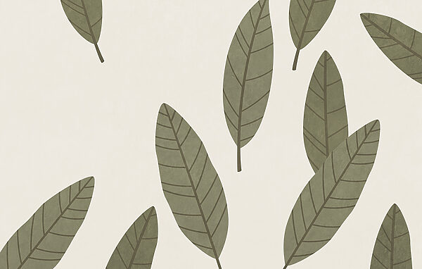 Group of leaves on a white background Group of leaves on a white background