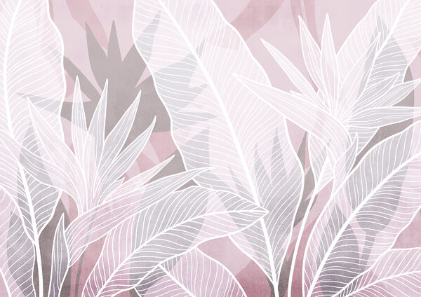 White leaves on a pink background White leaves on a pink background