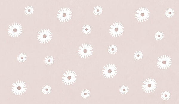 White flowers on a pink background White flowers on a pink background