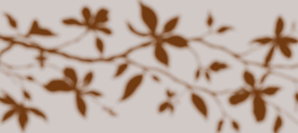 Blurry image of leaves on a branch