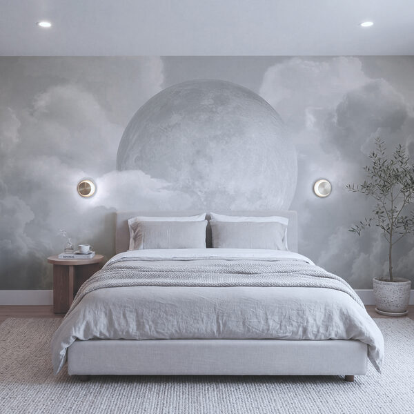 Full moon in the clouds