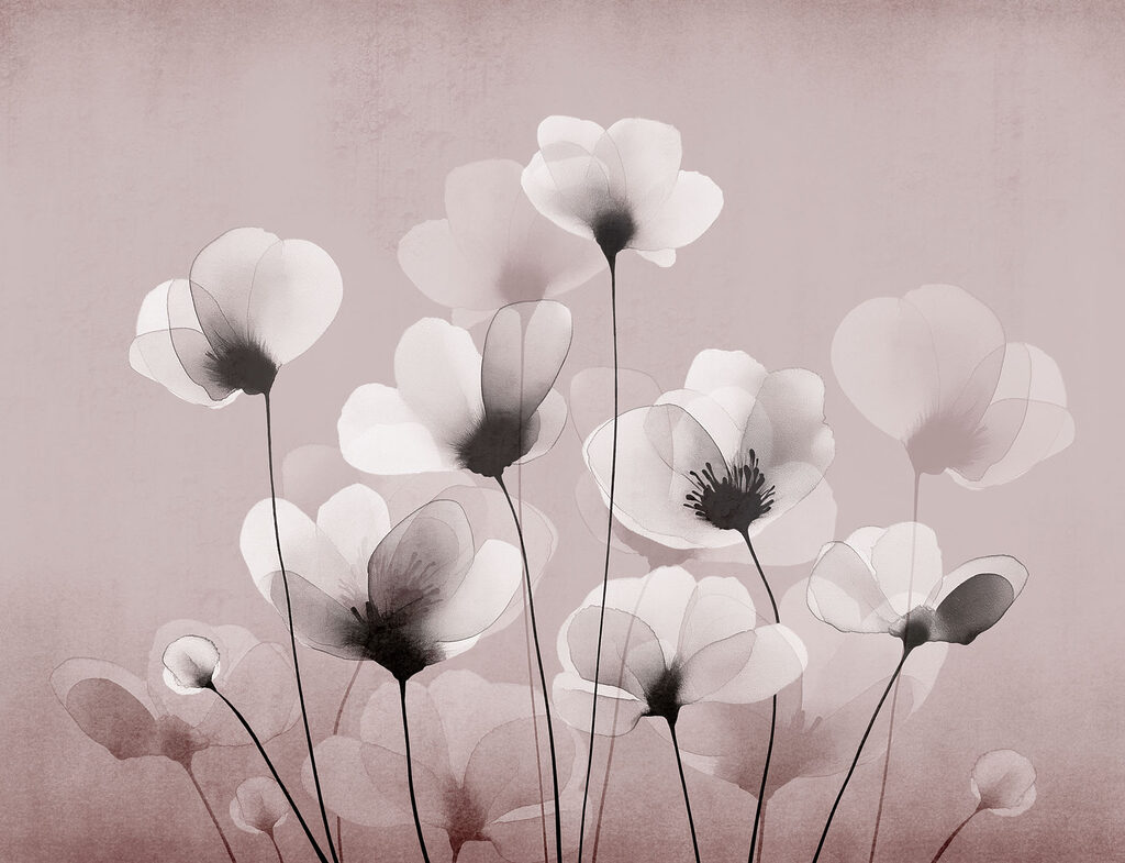 Group of white flowers