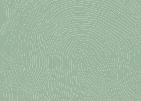 Green and white pattern Green and white pattern