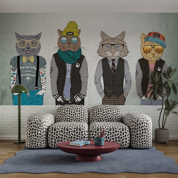 Group of cats wearing clothes Group of cats wearing clothes