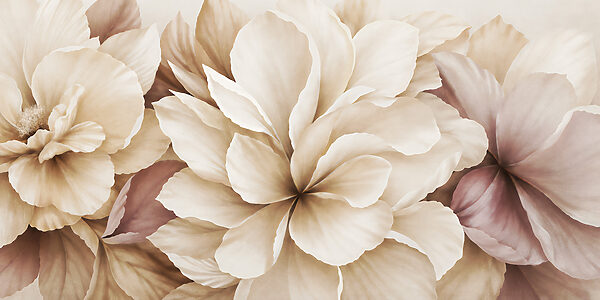 Delicate petals in soft hues Delicate petals in soft hues