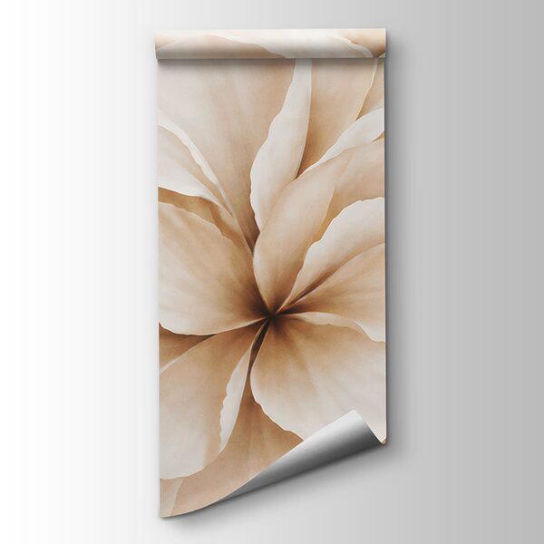 Delicate petals in soft hues Delicate petals in soft hues