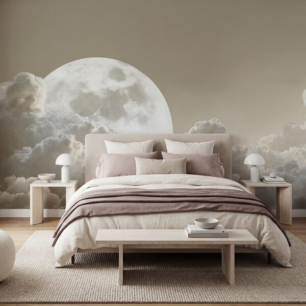 Full moon in the sky Full moon in the sky